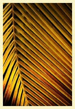 giulio_ranalli_photography_complete001005.jpg